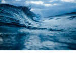 *Bluish*