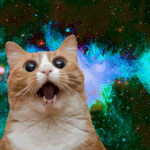 Space Cat ARMY
