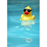 Duck army!!!