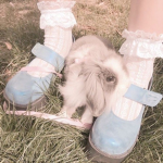 -rabbits-