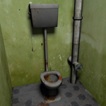 SHREK’S TOILET