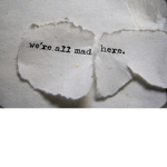 -Wonderland-
