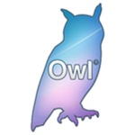 Owl Homestore