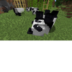 xdsmpx