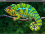 Chameleon world