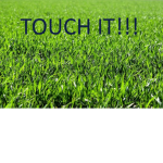 Goo Donkeys