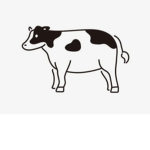 MOOOO MOO MOOO!!