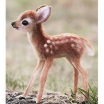 Animal cute best!