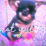 not guilty