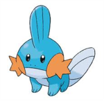 Mudkip Warriors