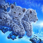 snow tigers.