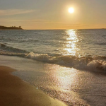 The Shores;