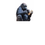 Kingdom of Monke "BANANA"