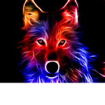 kid wolf gang