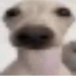hanjicvm
