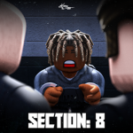 #SECTION 8