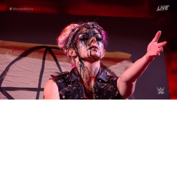 WWE || Clean Fights ||