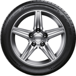 RubberTire Dev