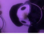 Dh.