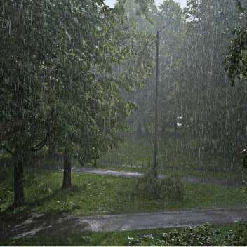 Rain