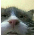 YEETROUX