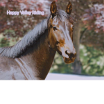 happy valley riding school! :)