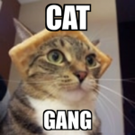 --Cat Gang--