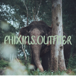 phixins.outfiter