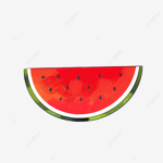 The Watermelon Apparel