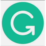 Grammerly Company