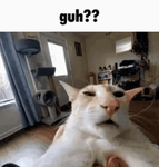 meh projects