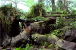 Elite Stealth Sniper Assassins