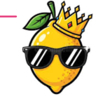 LIL LEMONs CEO
