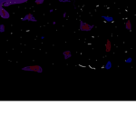 The Galaxy Night stars