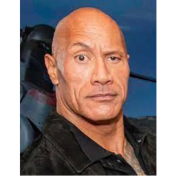 The Rock obby