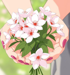 Blossom花
