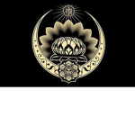 The Midnight Adventerer Guild