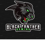 Kong fu Panther group