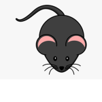 _ RAT ARMY_