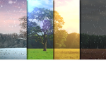 ❄️🌳🌞🍂Four Seasons Fashion🍂🌞🌳❄️