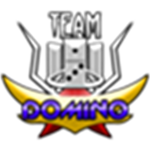 The Team Domino