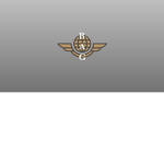 Bloxburg Aviation Group