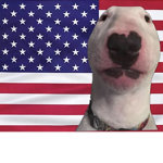 North America is only america