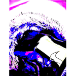 Samuel pro