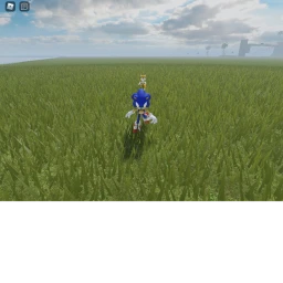sonic icon