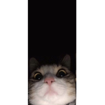 CTYCBI