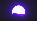 ThePurpleMoon
