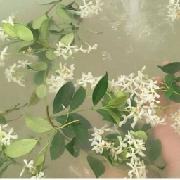 ♡