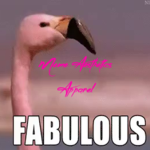 Meme Aesthetics Apparel