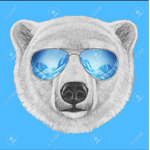 cool poler bears